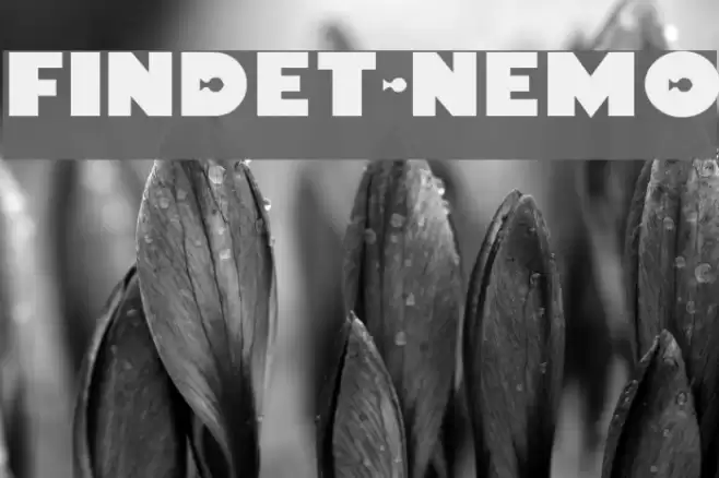 Findet-Nemo Font examples
