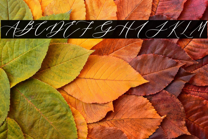 Finding Beauty Personal Use Example 3