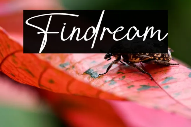 Findream Example 3