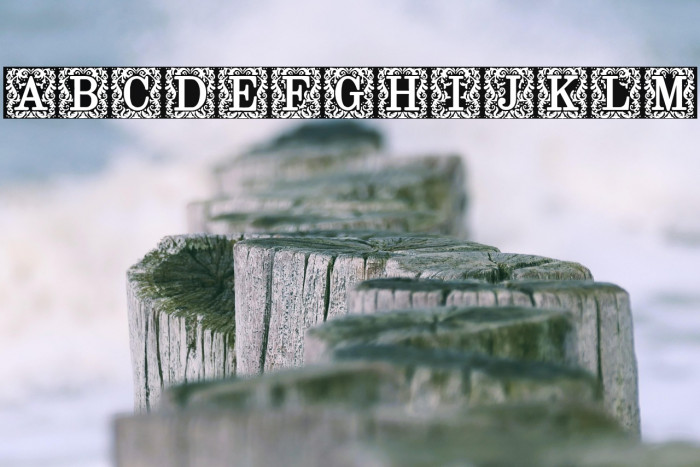 Fine Books Example 2