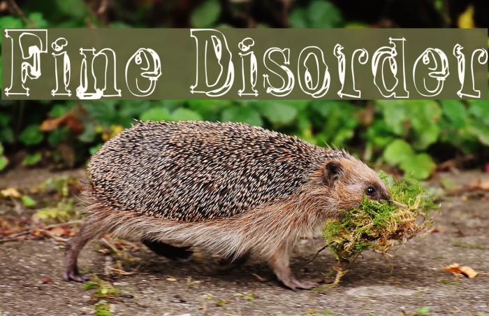 Fine Disorder Font examples