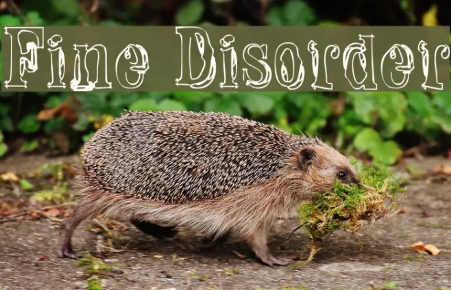 Fine Disorder Example 1