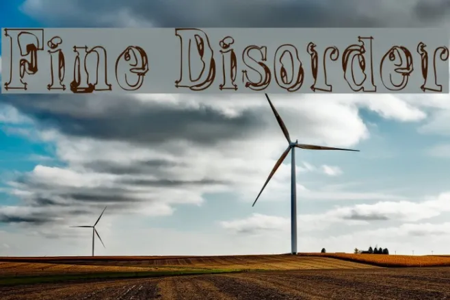 Fine Disorder Example 2
