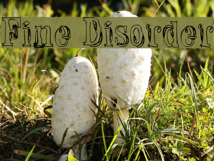 Fine Disorder Font examples