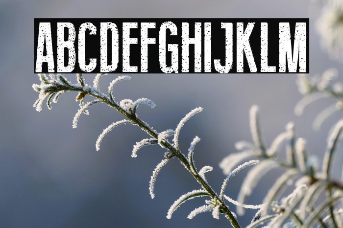 Fine Eroded Example 3