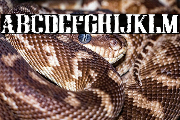 Fine Garden Hotel Example 2