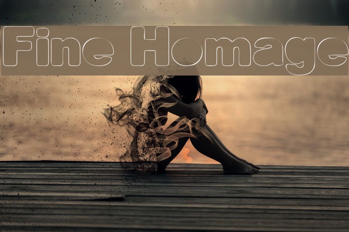 Fine Homage Font examples
