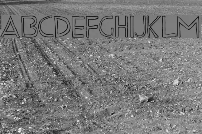 Fine LineRegular Font examples