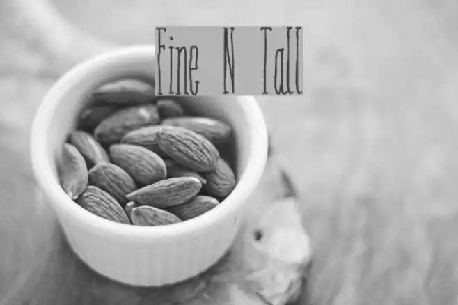 Fine N Tall Font examples
