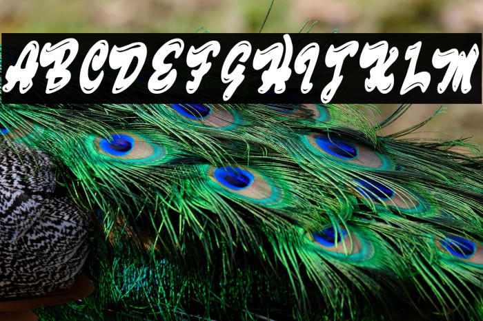 Fine NYC Shop Example 1