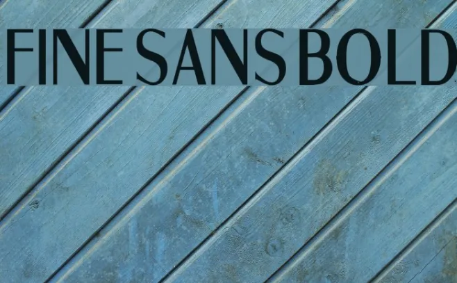 Fine Sans Bold Example 1