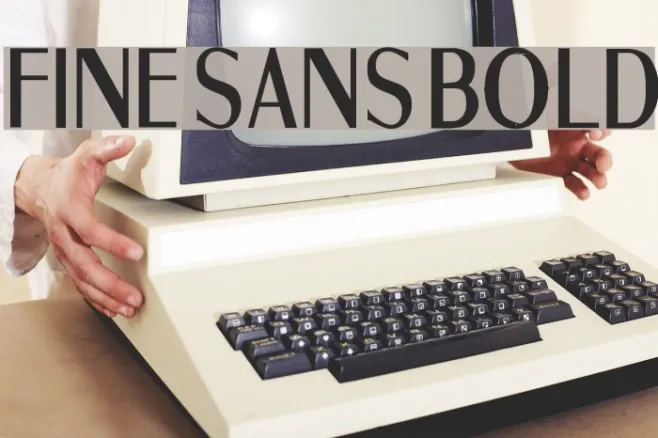 Fine Sans Bold Example 2