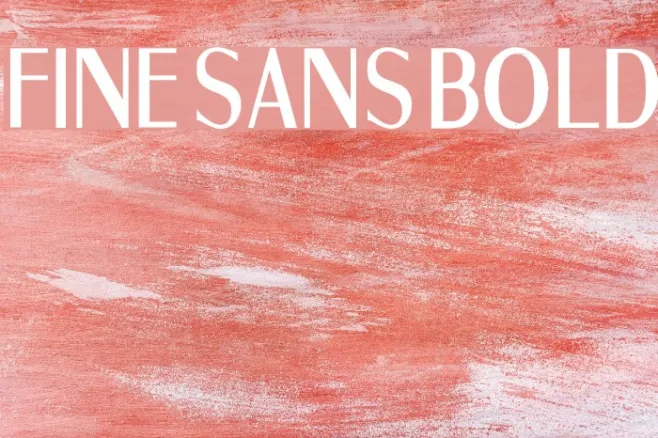 Fine Sans Bold Example 3
