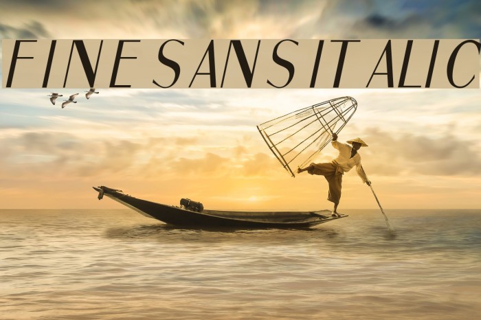 Fine Sans Italic Font examples