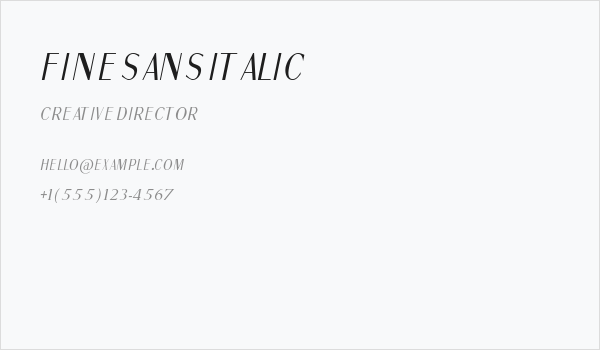 Fine Sans Italic Business Card