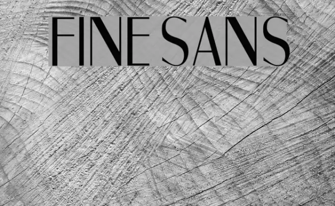 Fine Sans Font examples
