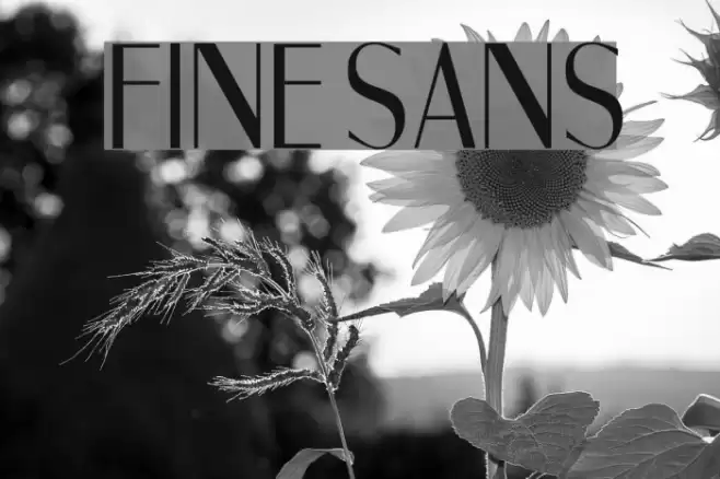 Fine Sans Font examples