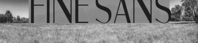 Fine Sans Font examples