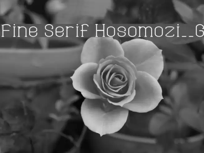 Fine Serif Hosomozi__G Шрифта examples