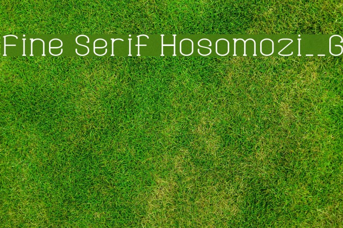 Fine Serif Hosomozi__G Font examples