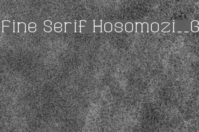 Fine Serif Hosomozi__G Шрифта examples