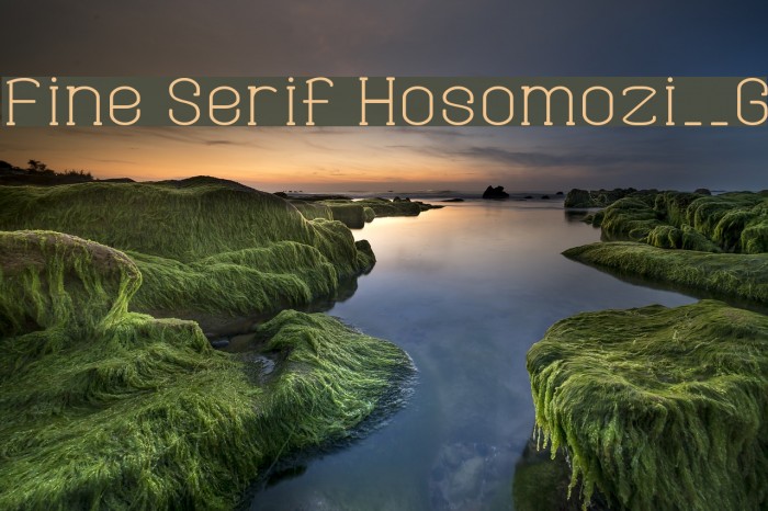 Fine Serif Hosomozi__G Font examples