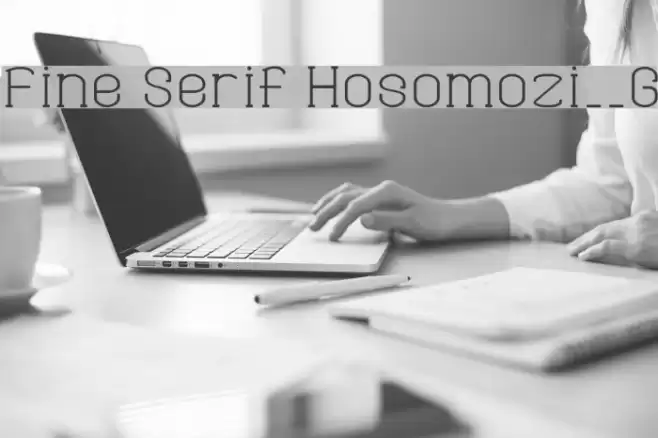 Fine Serif Hosomozi__G フォント examples