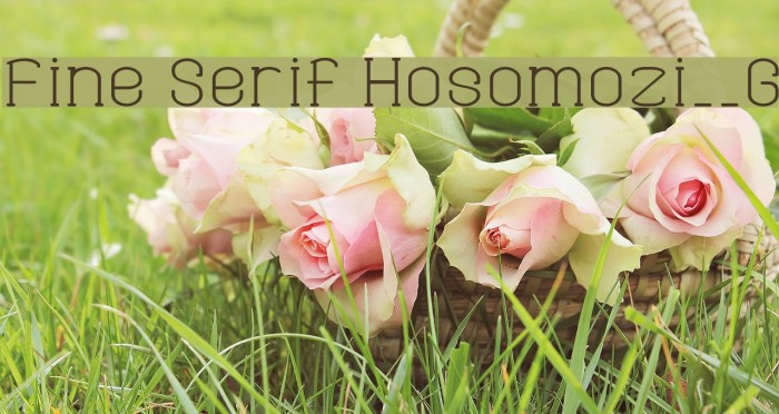 Fine Serif Hosomozi__G Font examples