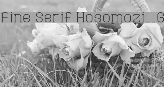 Fine Serif Hosomozi__G フォント examples