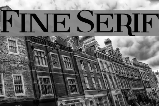 Fine Serif Font examples