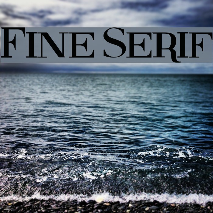 Fine Serif Font examples