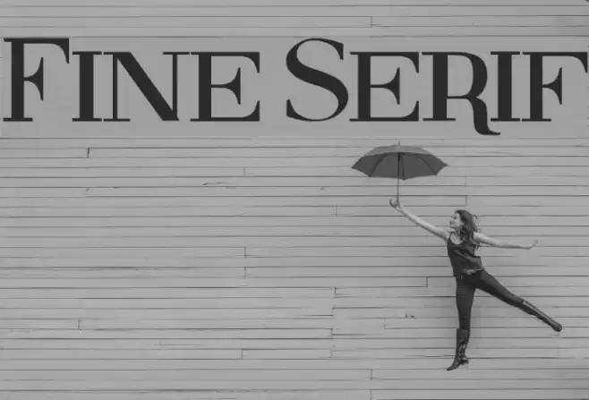 Fine Serif Font examples