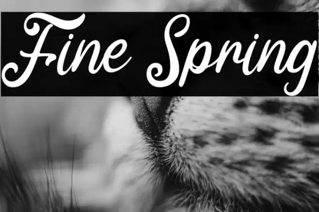 Fine Spring Font examples