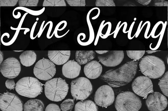 Fine Spring Font examples