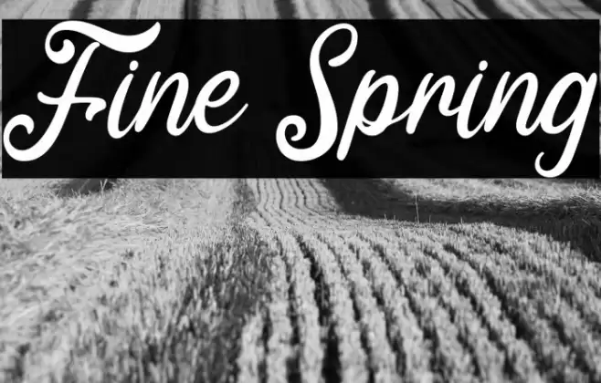 Fine Spring Font examples