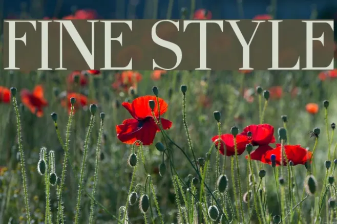 Fine Style Example 1