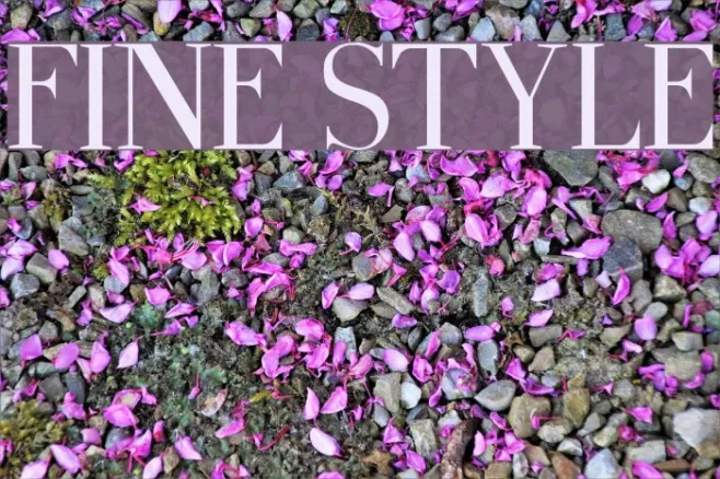 Fine Style Example 2