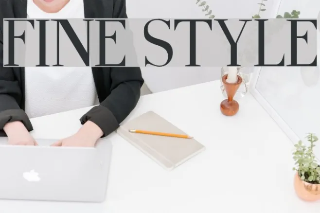 Fine Style Example 3