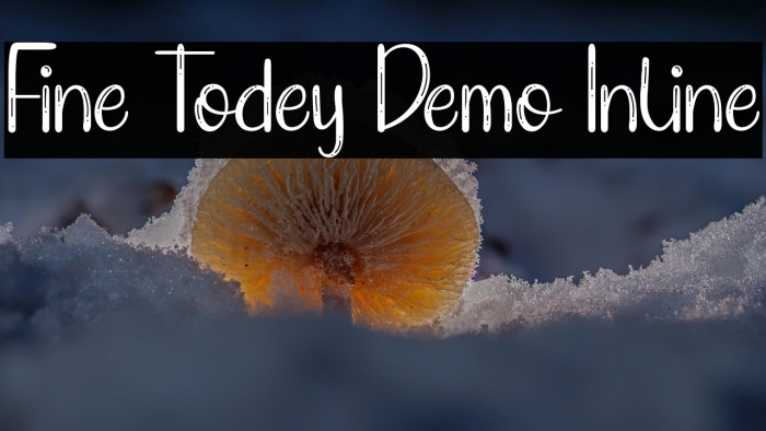 Fine Todey Demo Inline Example 2