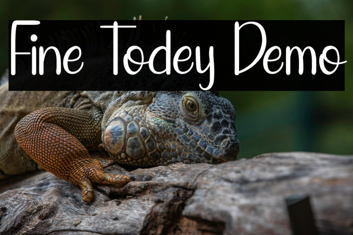 Fine Todey Demo Example 2