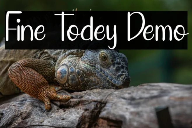 Fine Todey Demo Example 2
