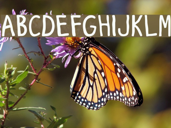 Fine 'Tooning Font examples