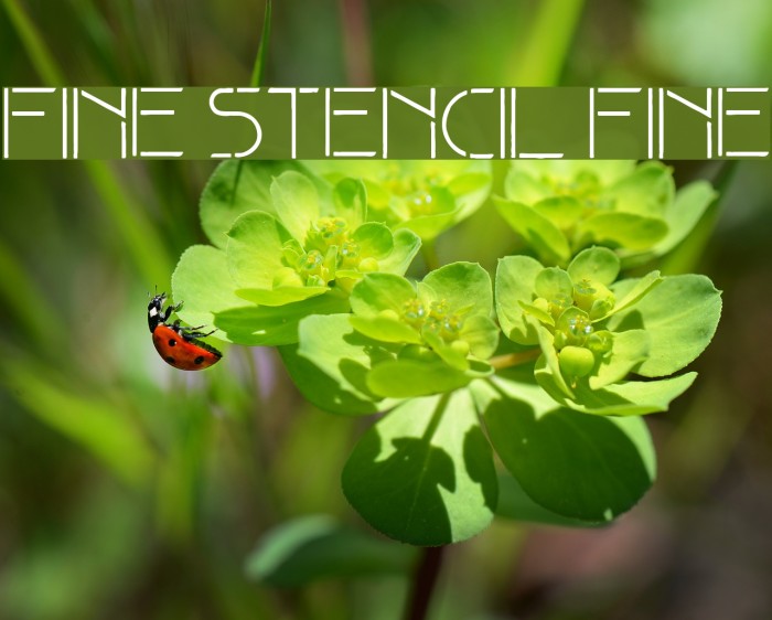 Fine stencil fine Example 2