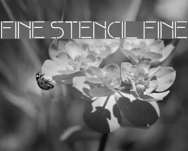 Fine stencil fine Font examples