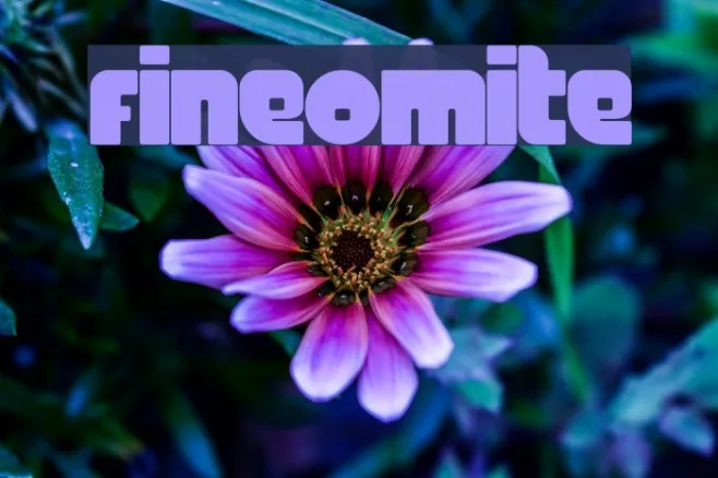 FineOMite Example 3