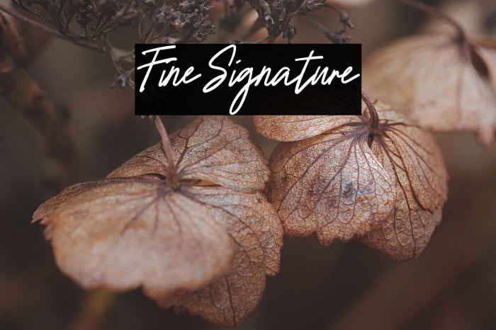 FineSignature Example 1