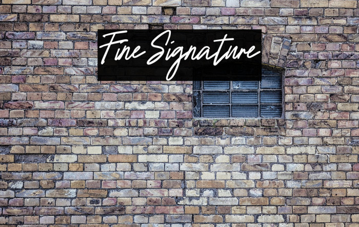 FineSignature Example 2