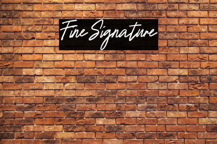 FineSignature Example 3