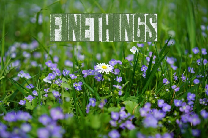 FineThings Example 3