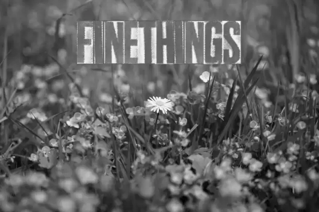 FineThings Font examples